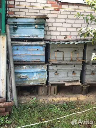 Улей лежак