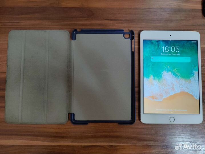 iPad mini 4