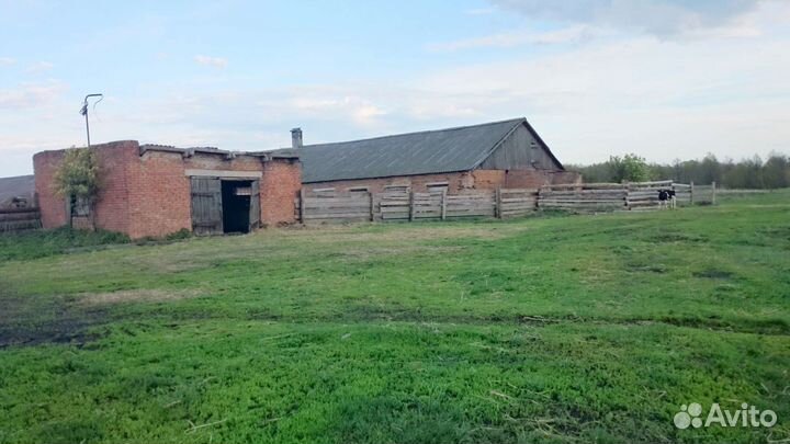 Продам животноводческую ферму