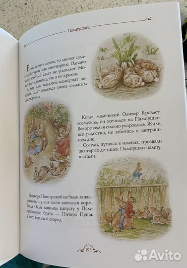 Все о кролике Питере