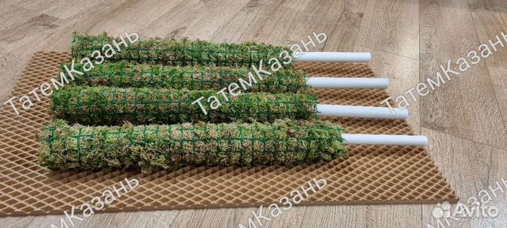 Тотем для растений