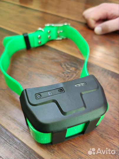 Ошейник с GPS для охоты