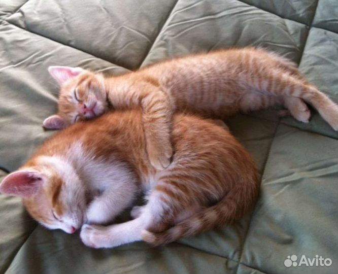 Написание текста для песни