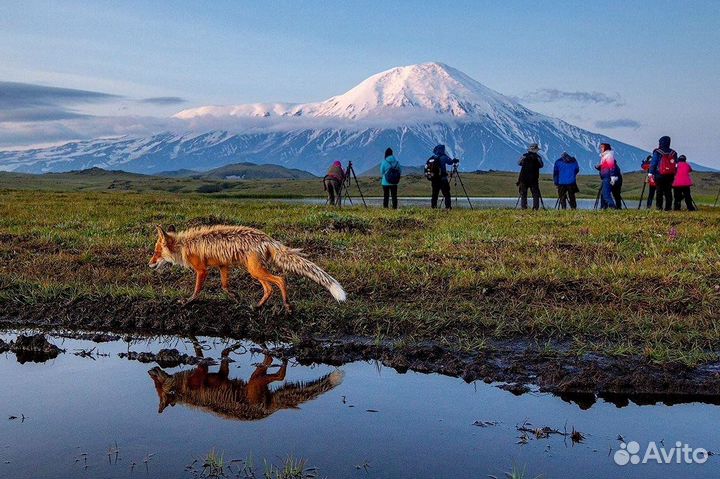 Путешествие по Камчатке