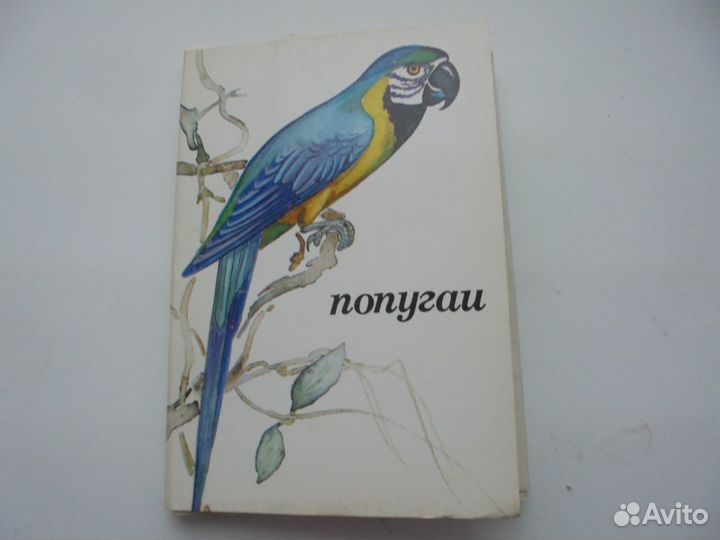 Попугаи+Комнатные птицы+Птицы русск леса Наб откры