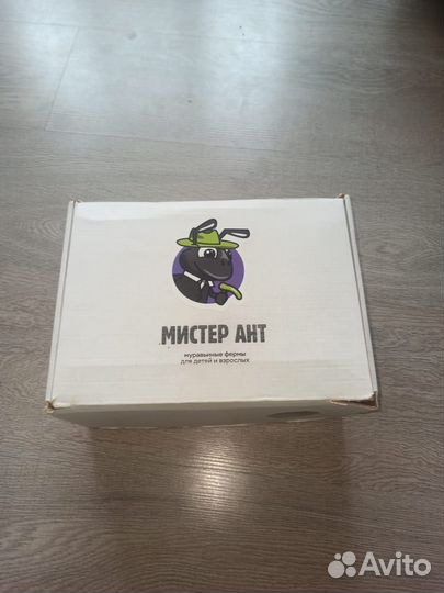 Муравьиная ферма