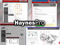 HaynesPro (Autodata )
