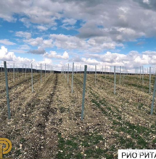 Колышки садовые композитные 12 мм