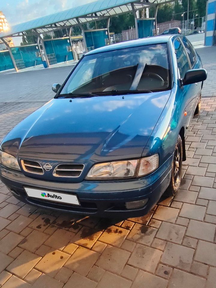 Nissan Primera: фото владельца