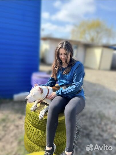 Кинолог с выездом