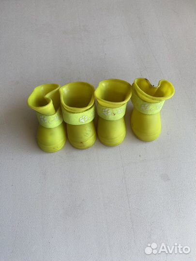 Одежда для собак