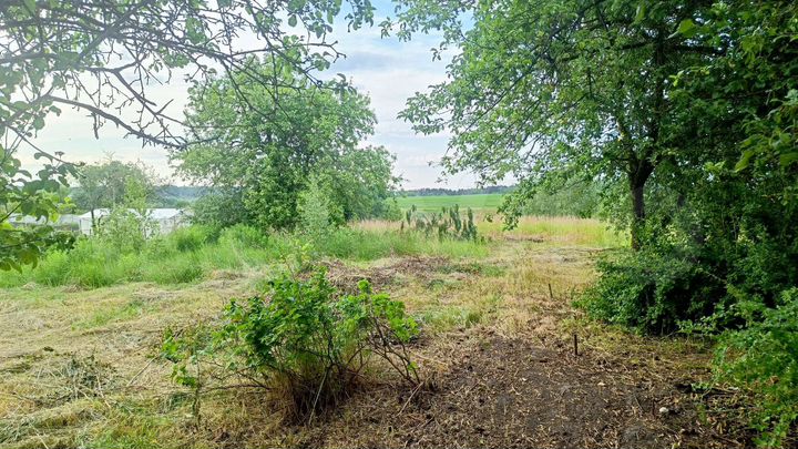 Участок 33 сот. (ИЖС)