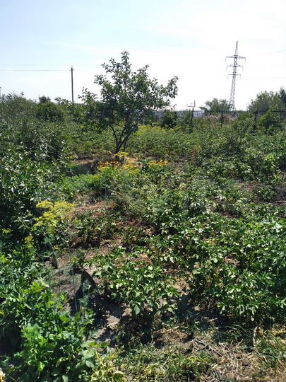 Дача 10 м² на участке 6 сот.