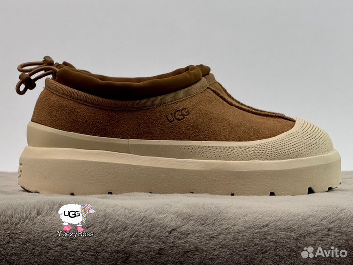 Кроссовки зимние женские Ugg Tasman Hybrid