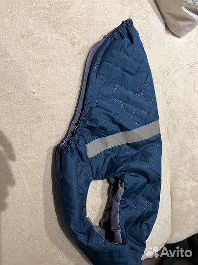 Товары для собаки