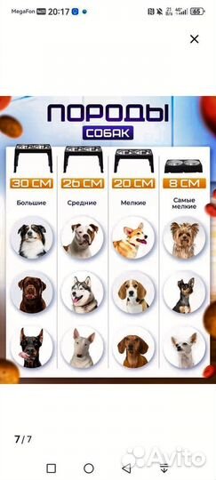 Миска двойная для собак и кошек