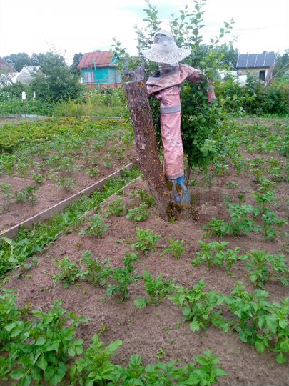 Дача 10 м² на участке 4 сот.