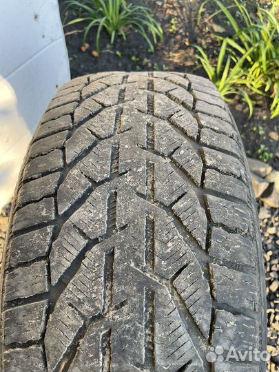 Tigar Winter 225/50 R17