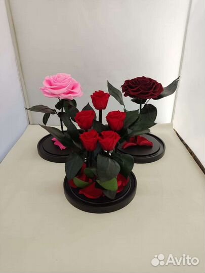 Роза в колбе оптом и в розницу