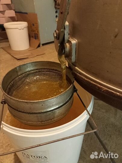 Мед подсолнечный 2023 года