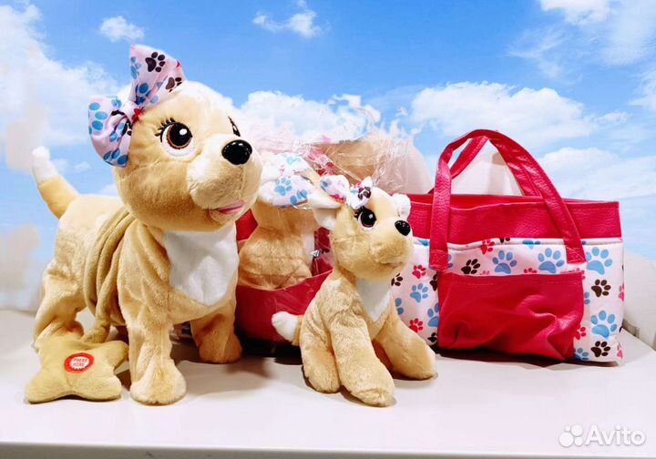 Чичилав семья