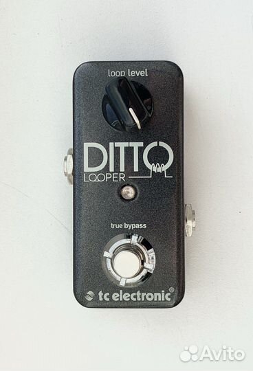 TC Electronic Ditto Looper