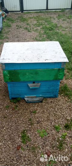 Продам ульи для пчел