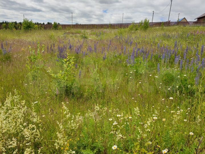 Участок 20 сот. (ИЖС)