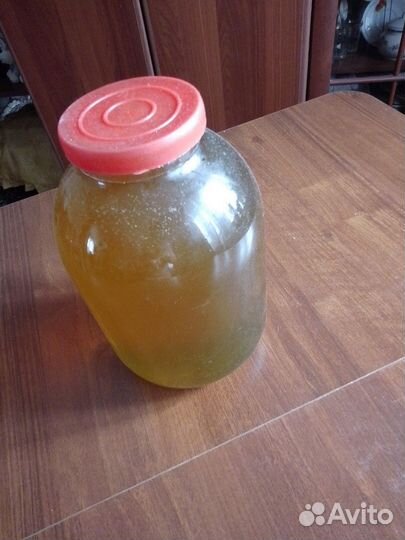 Мед цветочный 2024