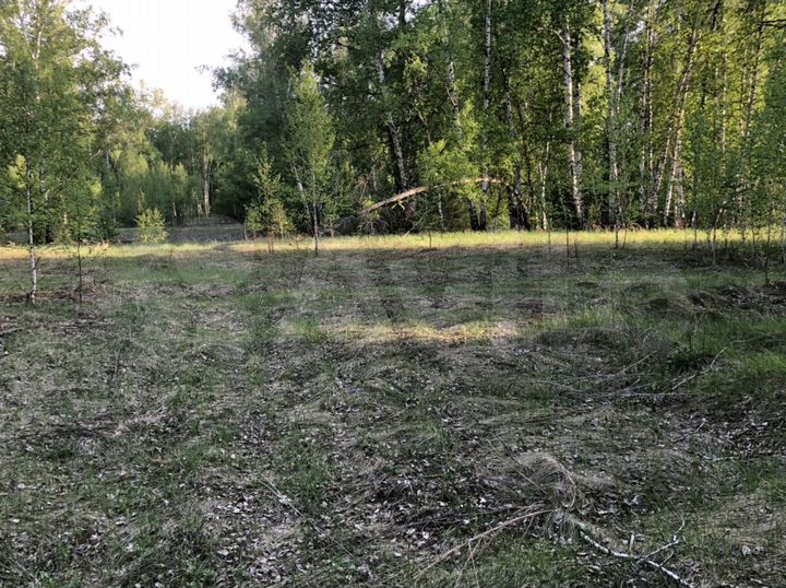 Участок 10 сот. (СНТ, ДНП)