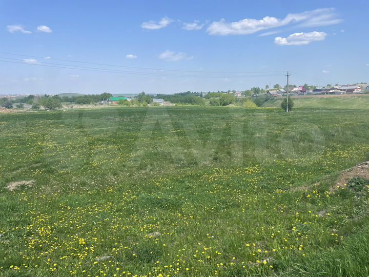 Участок 25 сот. (СНТ, ДНП)