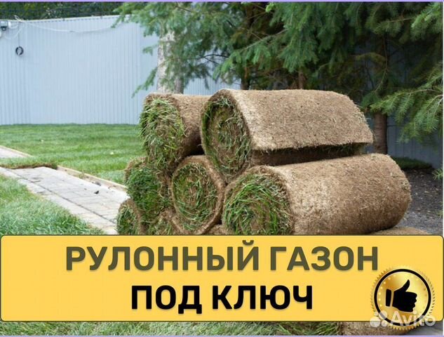 Рулонный газон доставка укладка