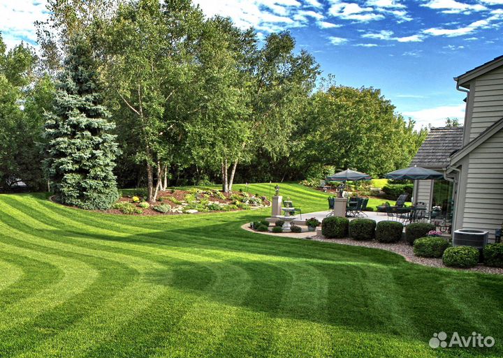 Рулонный газон от производителя - укладка