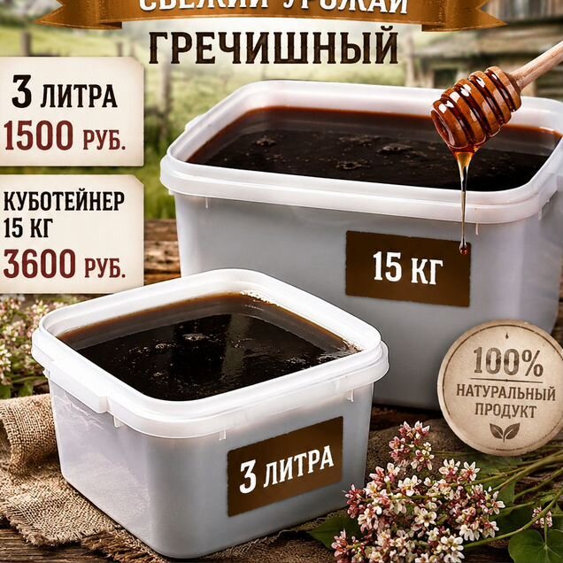 Мед с Алтая