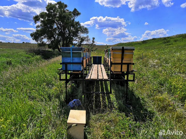 Прицеп для перевозки пчёл