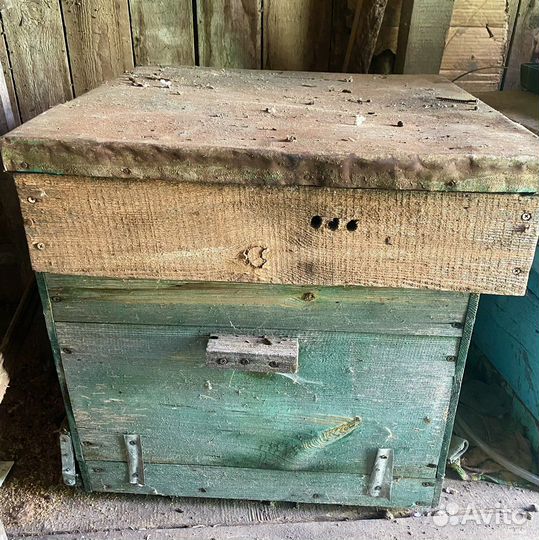 Пчелы улья пасеку