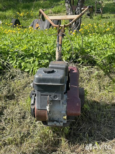 Мотоблок салют 5