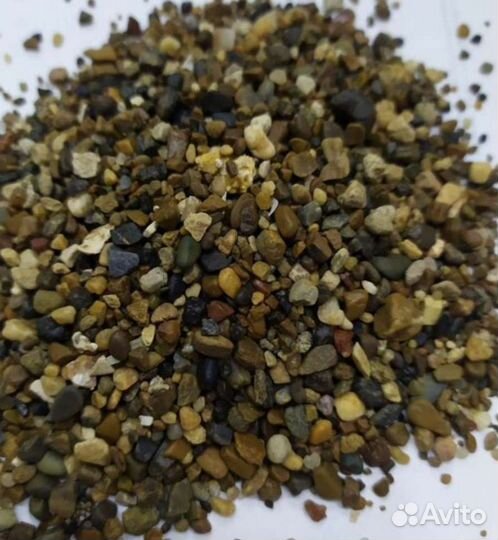 Сомики Аквариумные растения