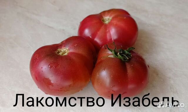 Семена Томатов