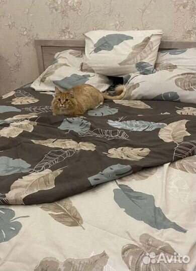 Простыни, наволочки, постельное белье