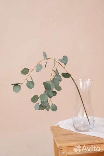 Эвкалипт Искуственные цветы