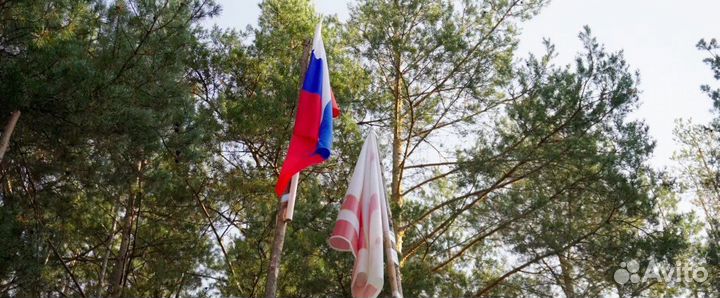 Видеограф / видеооператор / видеосъёмка