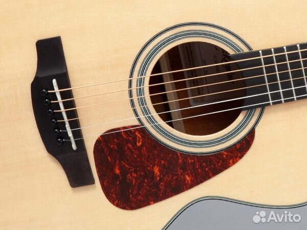 Takamine GN10-NS