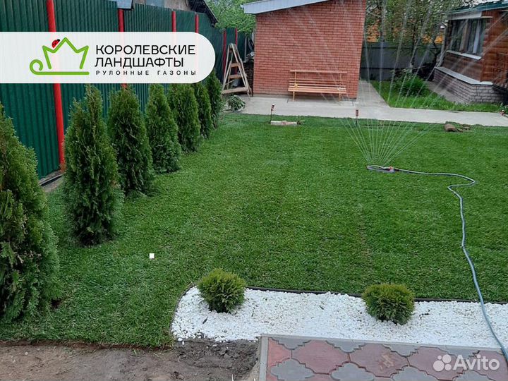 Рулонный газон