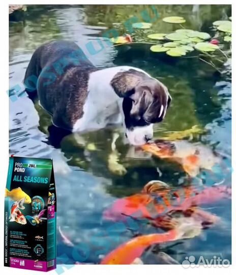 JBL корм для рыб JBL pondsticks 3IN1 propond