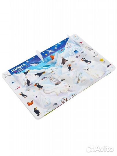 Книга найди и покажи