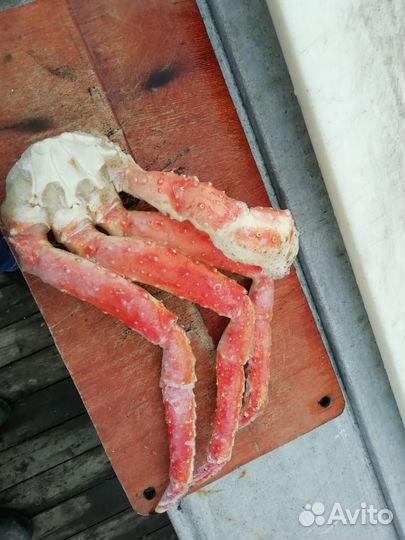 Камчатский краб