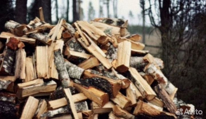 Дрова береза