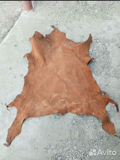 Кожа буйвола