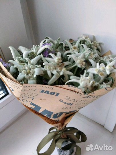 Эдельвейсы. Романтический букет для любимой